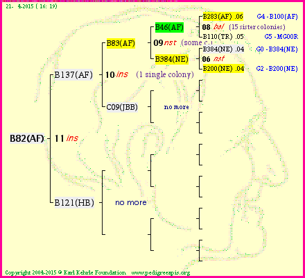 Pedigree of B82(AF) :
four generations presented