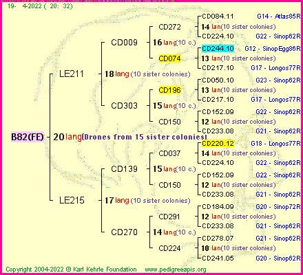 Pedigree of B82(FE) :
four generations presented
it's temporarily unavailable, sorry!