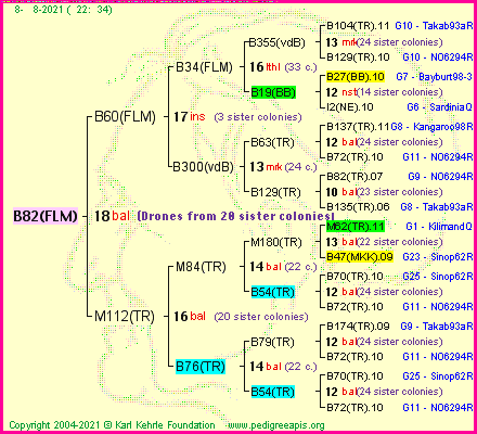 Pedigree of B82(FLM) :
four generations presented
it's temporarily unavailable, sorry!