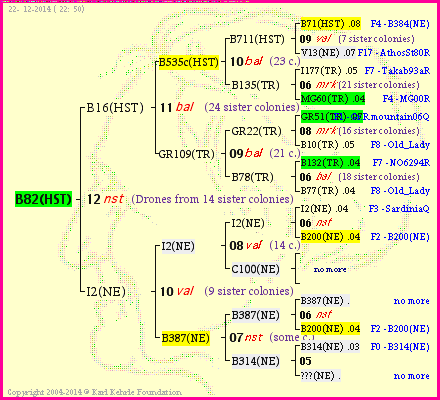 Pedigree of B82(HST) :
four generations presented