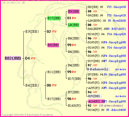 Pedigree of B82(JBB) :
four generations presented