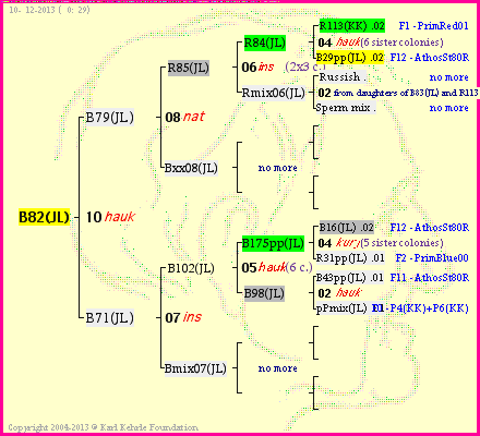 Pedigree of B82(JL) :
four generations presented