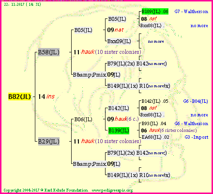 Pedigree of B82(JL) :
four generations presented