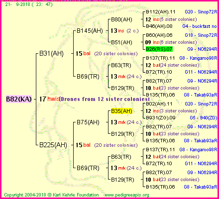 Pedigree of B82(KA) :
four generations presented<br />it's temporarily unavailable, sorry!