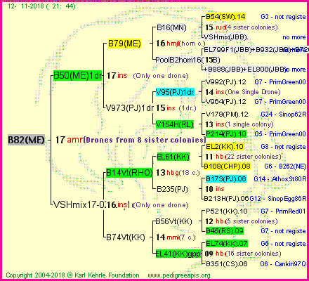 Pedigree of B82(ME) :
four generations presented<br />it's temporarily unavailable, sorry!