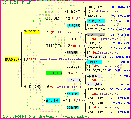 Pedigree of B82(SL) :
four generations presented
it's temporarily unavailable, sorry!