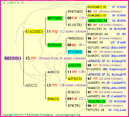 Pedigree of B82(SOL) :
four generations presented<br />it's temporarily unavailable, sorry!