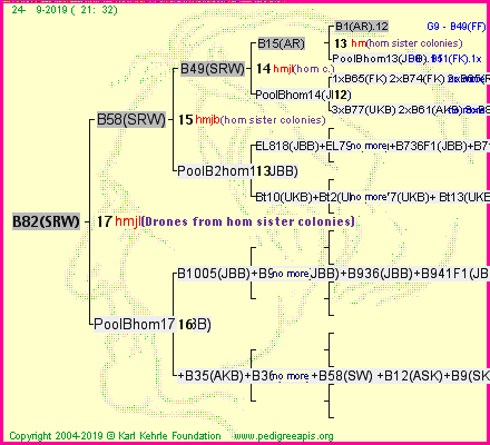 Pedigree of B82(SRW) :
four generations presented<br />it's temporarily unavailable, sorry!