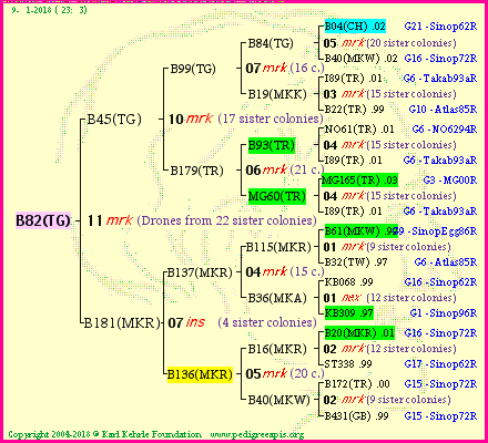 Pedigree of B82(TG) :
four generations presented<br />it's temporarily unavailable, sorry!