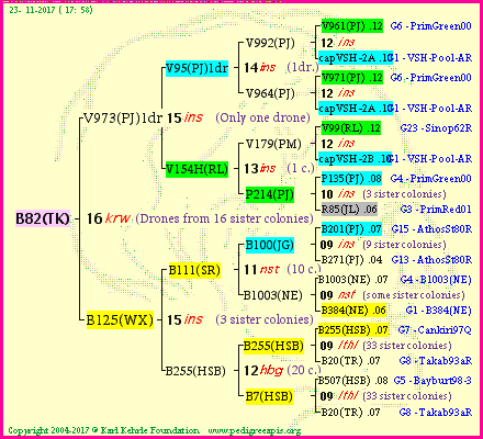 Pedigree of B82(TK) :
four generations presented<br />it's temporarily unavailable, sorry!