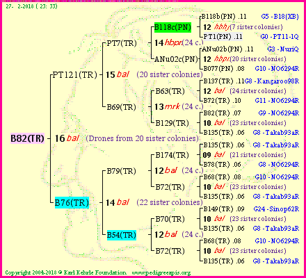 Pedigree of B82(TR) :
four generations presented<br />it's temporarily unavailable, sorry!