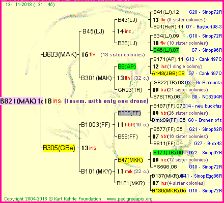 Pedigree of B821(MAK)1dr :
four generations presented<br />it's temporarily unavailable, sorry!