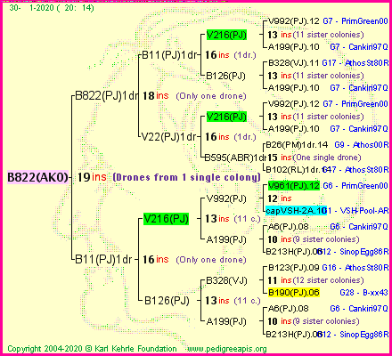 Pedigree of B822(AKO) :
four generations presented<br />it's temporarily unavailable, sorry!