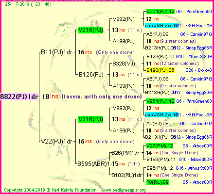 Pedigree of B822(PJ)1dr :
four generations presented
it's temporarily unavailable, sorry!