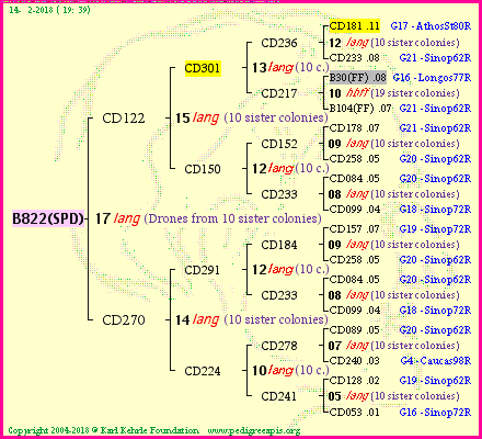 Pedigree of B822(SPD) :
four generations presented