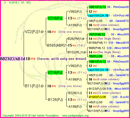 Pedigree of B823(CLM)1dr :
four generations presented<br />it's temporarily unavailable, sorry!