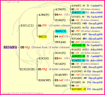 Pedigree of B826(RS) :
four generations presented