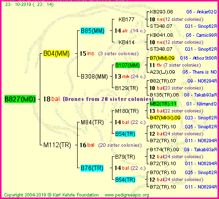 Pedigree of B827(MD) :
four generations presented
it's temporarily unavailable, sorry!