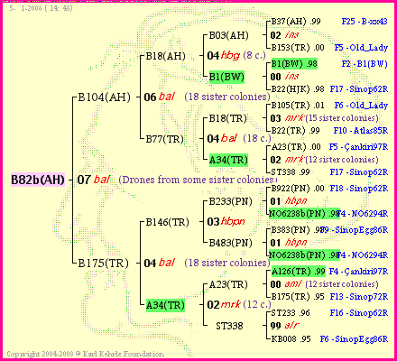 Pedigree of B82b(AH) :
four generations presented