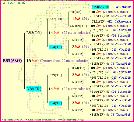 Pedigree of B83(AMS) :
four generations presented<br />it's temporarily unavailable, sorry!