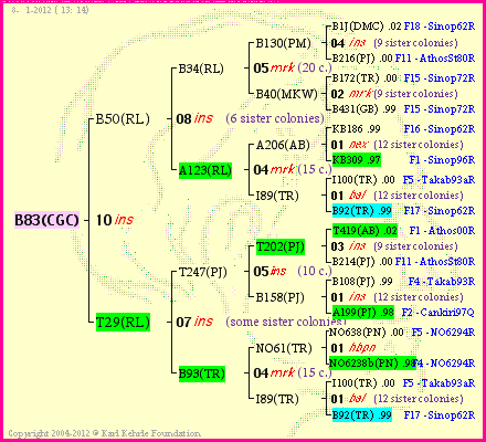 Pedigree of B83(CGC) :
four generations presented