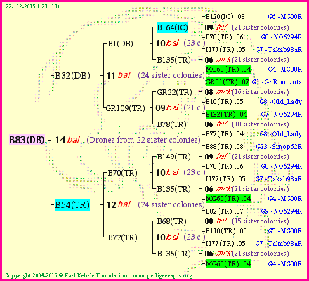 Pedigree of B83(DB) :
four generations presented