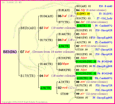 Pedigree of B83(DK) :
four generations presented