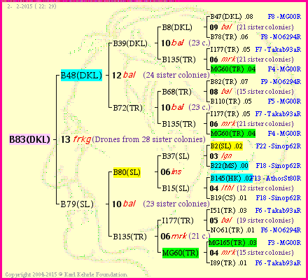 Pedigree of B83(DKL) :
four generations presented