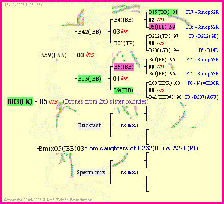 Pedigree of B83(FK) :
four generations presented