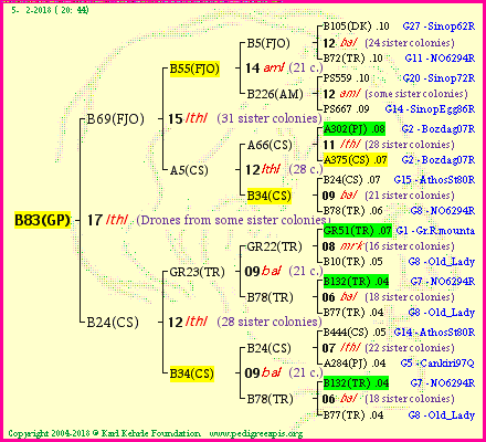 Pedigree of B83(GP) :
four generations presented<br />it's temporarily unavailable, sorry!