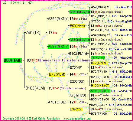 Pedigree of B83(HAR) :
four generations presented<br />it's temporarily unavailable, sorry!