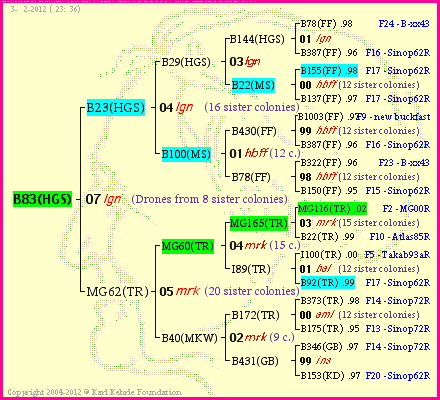 Pedigree of B83(HGS) :
four generations presented