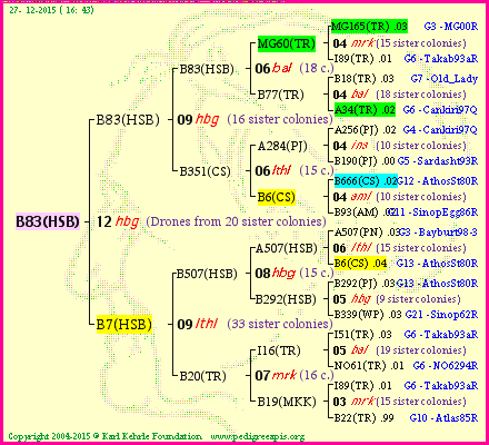 Pedigree of B83(HSB) :
four generations presented
it's temporarily unavailable, sorry!