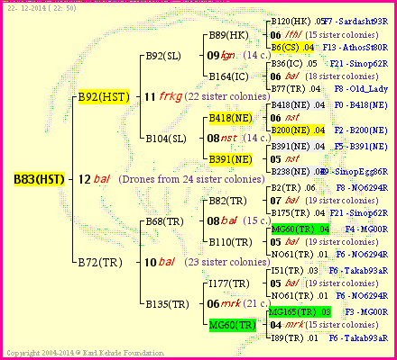 Pedigree of B83(HST) :
four generations presented