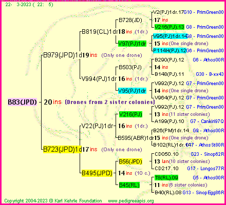 Pedigree of B83(JPD) :
four generations presented
it's temporarily unavailable, sorry!