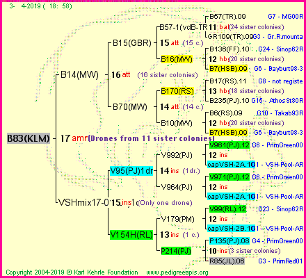 Pedigree of B83(KLM) :
four generations presented<br />it's temporarily unavailable, sorry!