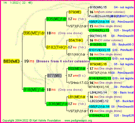 Pedigree of B83(ME) :
four generations presented
it's temporarily unavailable, sorry!