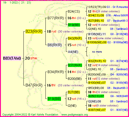 Pedigree of B83(TAM) :
four generations presented
it's temporarily unavailable, sorry!