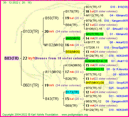 Pedigree of B83(TR) :
four generations presented
it's temporarily unavailable, sorry!