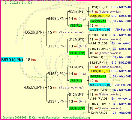 Pedigree of B8301(JPN) :
four generations presented
it's temporarily unavailable, sorry!