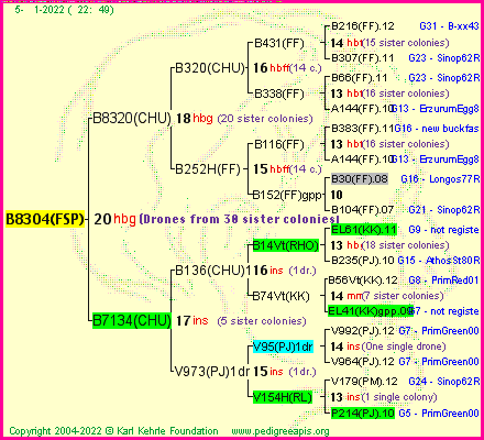 Pedigree of B8304(FSP) :
four generations presented
it's temporarily unavailable, sorry!