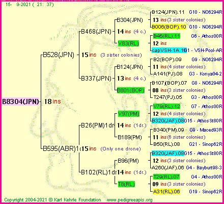 Pedigree of B8304(JPN) :
four generations presented
it's temporarily unavailable, sorry!