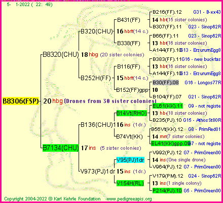 Pedigree of B8306(FSP) :
four generations presented
it's temporarily unavailable, sorry!