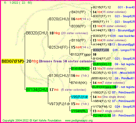 Pedigree of B8307(FSP) :
four generations presented
it's temporarily unavailable, sorry!