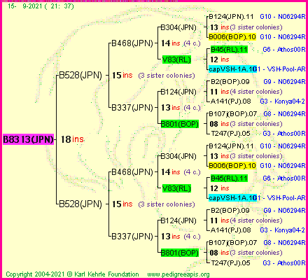 Pedigree of B8313(JPN) :
four generations presented
it's temporarily unavailable, sorry!