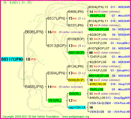 Pedigree of B8317(JPN) :
four generations presented
it's temporarily unavailable, sorry!