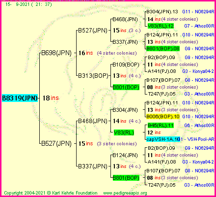 Pedigree of B8319(JPN) :
four generations presented
it's temporarily unavailable, sorry!