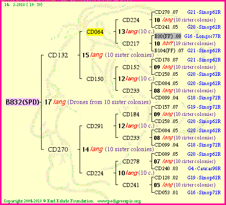 Pedigree of B832(SPD) :
four generations presented