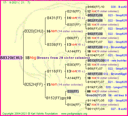 Pedigree of B8320(CHU) :
four generations presented
it's temporarily unavailable, sorry!