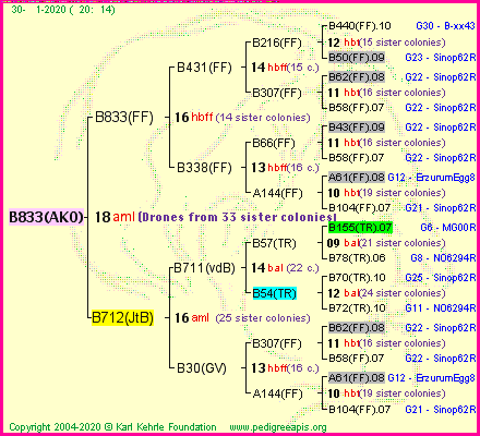 Pedigree of B833(AKO) :
four generations presented<br />it's temporarily unavailable, sorry!